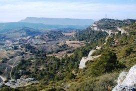 la conca de barberà amb nens